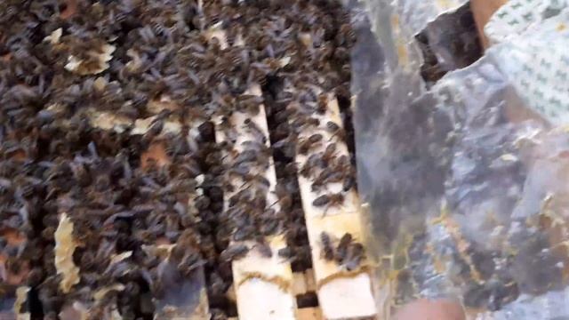 УЛ16Р смотреть онлайн