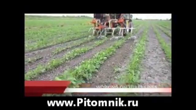 культиватор для питомников, для чеснока, посадок смотреть онлайн