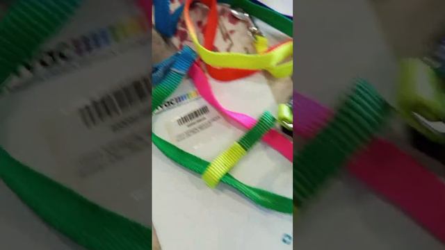 Уход и содержание декоративного кролика смотреть онлайн