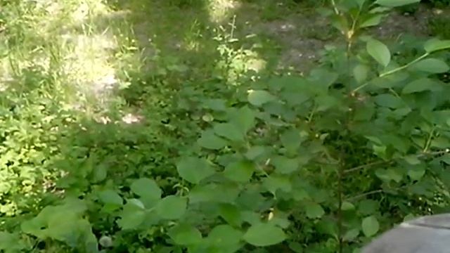 Моя коллекция фишек эмоджи 1 смотреть онлайн