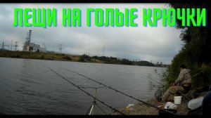 Атомный лещ на голые крючки. Снасть без наживки "убийца леща" в деле. Рыбалка на фидер.