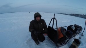 тайга патруль 551 SWT в действии