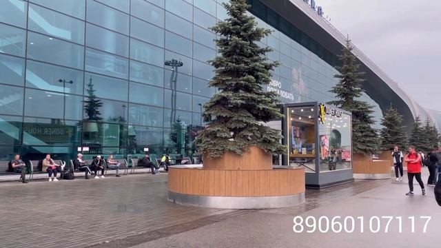 Россия Узбекистан Авиакасса Москва арзон билет аэропорт Домодедово аэропорт Шереметова Внуково смотреть онлайн