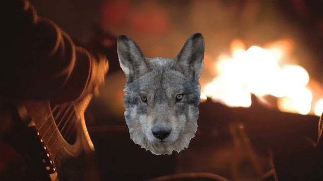 О Волкозае смотреть онлайн