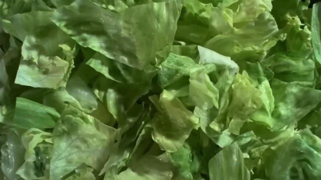 Whopper song but it’s just lettuce смотреть онлайн