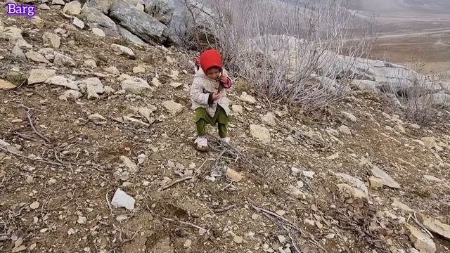 Collecting Firewood And Cooking Mountain Herbs By Zari, A Nomadic Woman