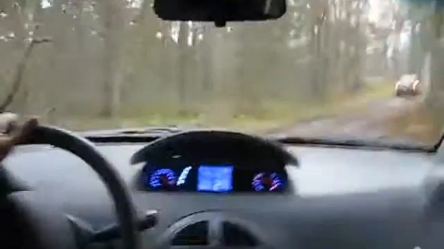 Гоняем на Chery IndiS по лесу