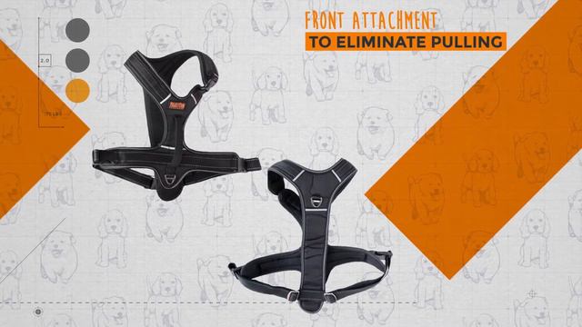 Fully Padded Mighty Paw Sport Dog Harness Doesn't Have To Go Over The Head! смотреть онлайн