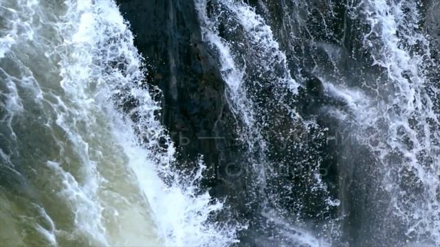 Эврики  вводный эпиграф