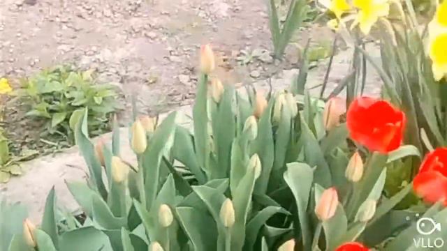 Всем хорошего настроения смотреть онлайн