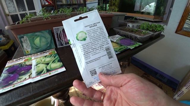 О сроках посева капусты смотреть онлайн