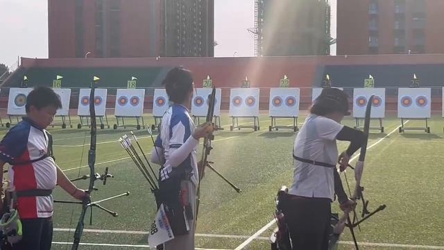 Nika Archery N3 Pro Limbs For Recurve Bow Archers Competition #archery