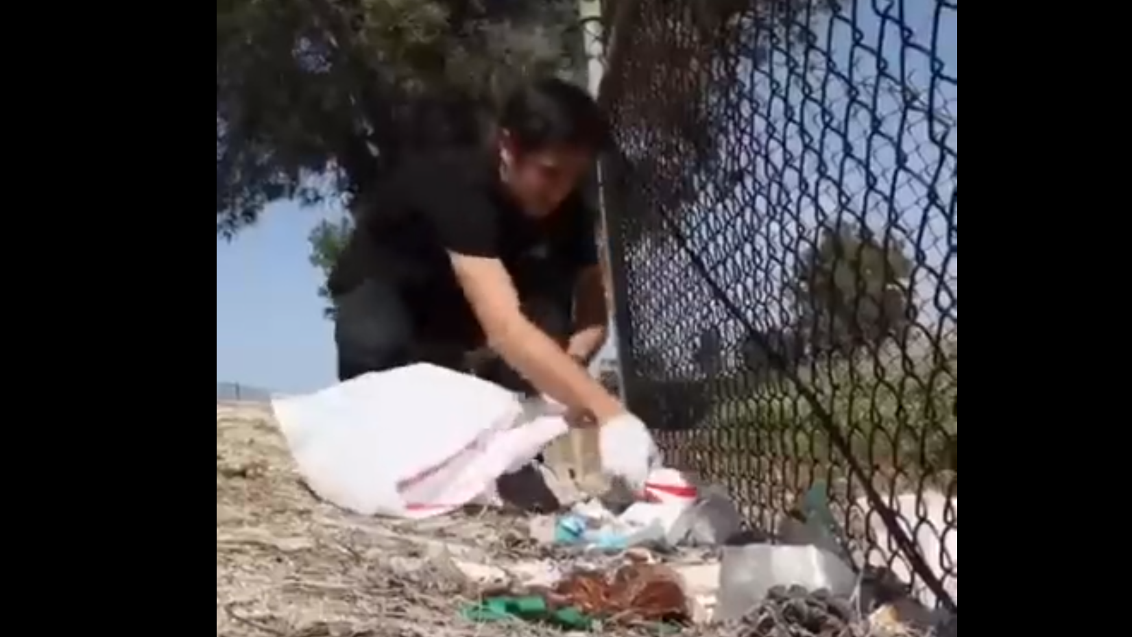 Zach King и уборка мусора смотреть онлайн