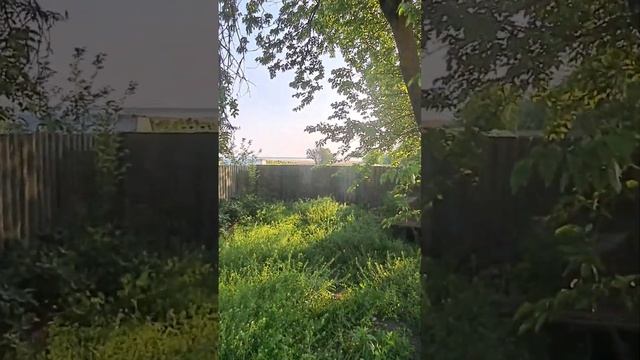 Дом на Юге за 1 млн. 280 т.р./28 соток / С газом, садом, баней, летней кухней, гаражом, 2 погреба смотреть онлайн