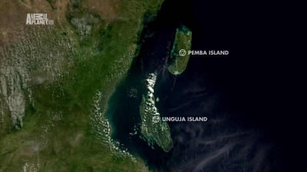 Неизведанные острова - Занзибар  (Zanzibar)