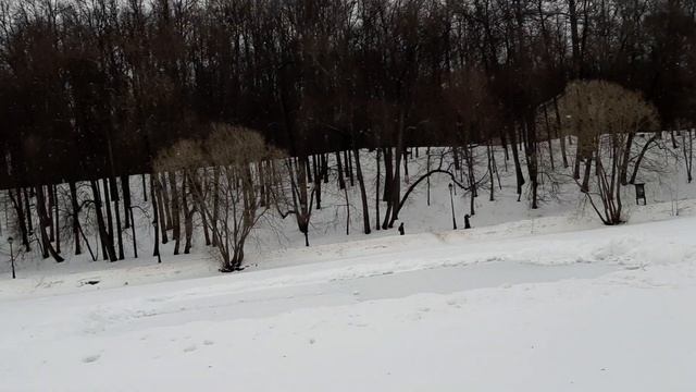 Лыжи. Верхний Царицынский пруд. Моржи. 26.02.2023 смотреть онлайн