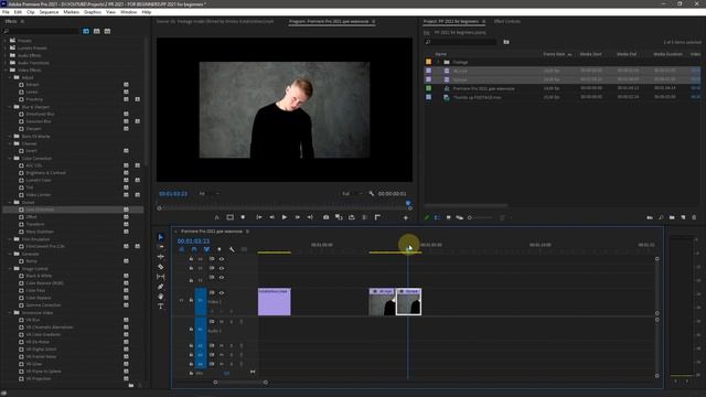 Adobe Premiere Pro 2021 для НОВИЧКОВ. С нуля до Рендера. БЫСТРЫЙ КУРС смотреть онлайн