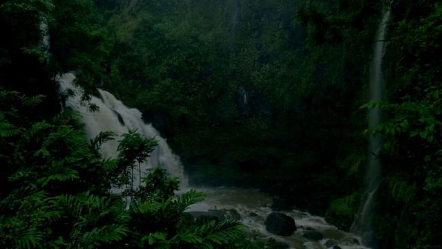 Música Para DORMIR Con Sonido De Lluvia Y Naturaleza - Relajar La Mente