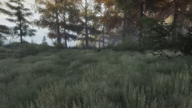 Прохождение The Vanishing of Ethan Carter - Часть 1 Автодрезина смотреть онлайн