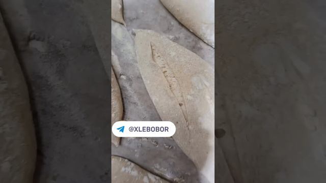 Посещая пекарню в Виланове, мы узнали некоторые хитрости, позволяющие получить невероятный гребешок смотреть онлайн