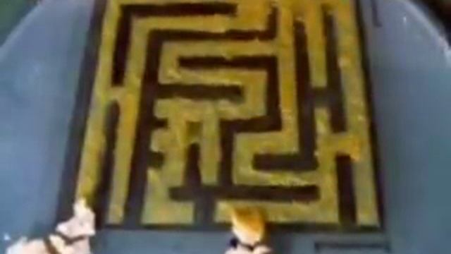 Slime Mold Physarum Finds the Shortest Path in a Maze смотреть онлайн