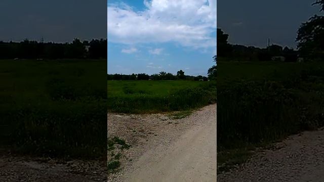 Хочу дачу! смотреть онлайн