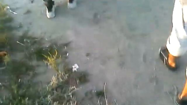 фестиваль Атмосфера 29.08.2011 смотреть онлайн