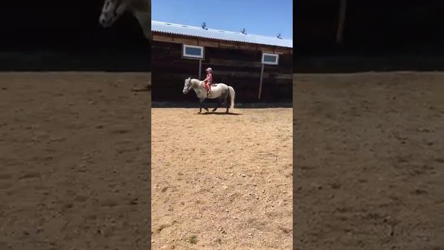 Катаюсь на пони смотреть онлайн