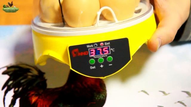 Обзор китайского инкубатора для яиц Мини-7 (Mini 7) смотреть онлайн