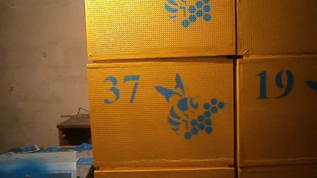 Номерки на улья смотреть онлайн