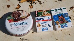 Ошейник от Блох и Клещей Форесто - Bayer Foresto