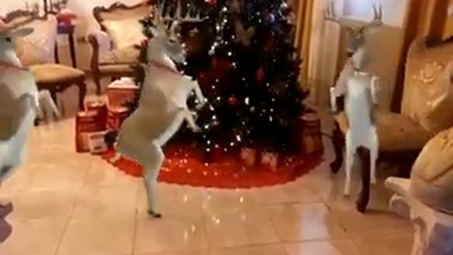 Веселый лось смотреть онлайн