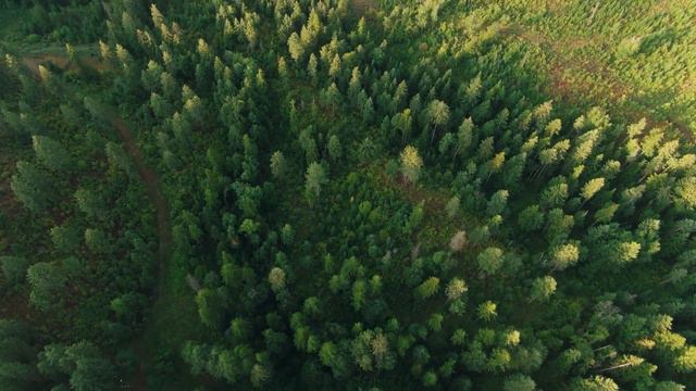 Вопрос возвышенности Аллаха - Шейх аль-Альбани смотреть онлайн