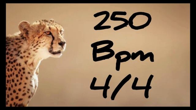 250 Bpm Metronome 4/4 смотреть онлайн