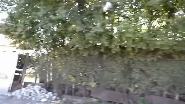 Сокулук Осень 2011 - Улица Кайназаровой смотреть онлайн