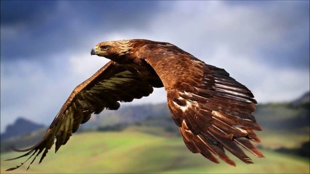Spell For Becoming A Human Bird by Khufu Team Osiris смотреть онлайн