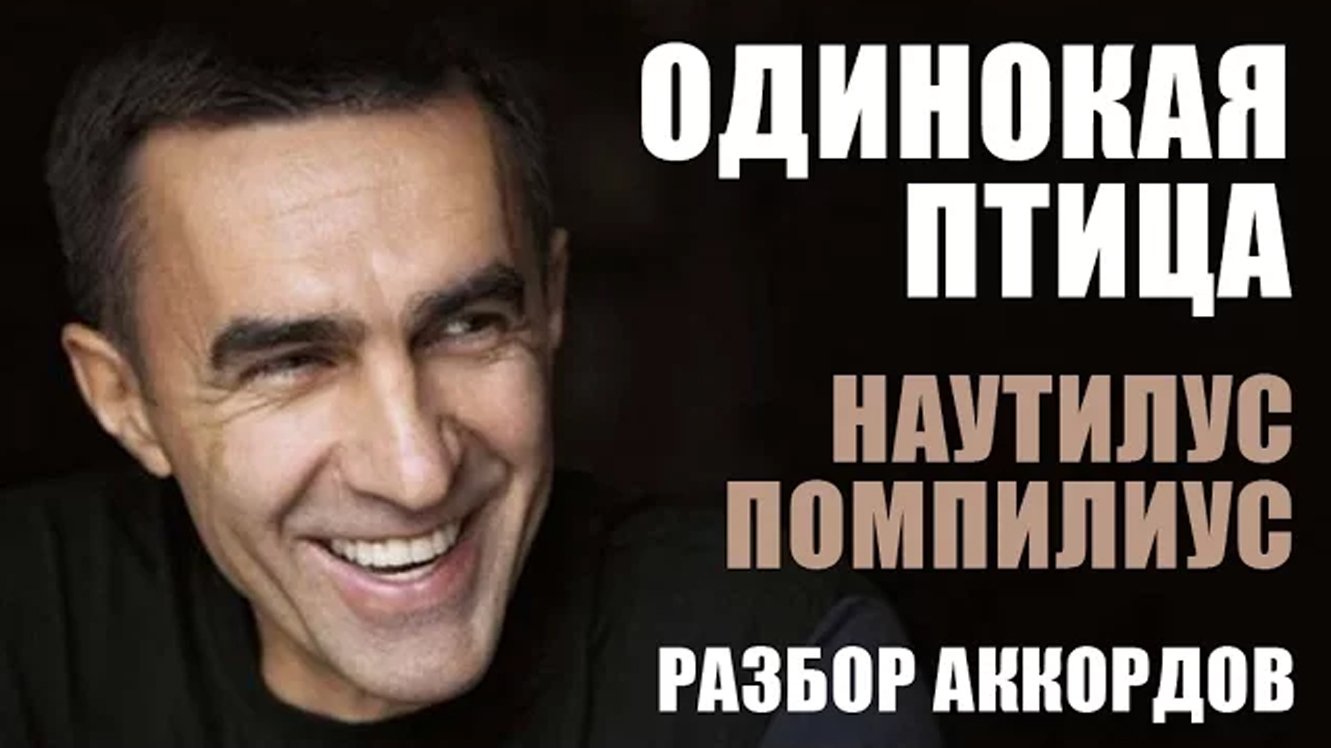 Одинокая птица - Наутилус Помпилиус (разбор аккордов) смотреть онлайн
