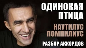 Одинокая птица - Наутилус Помпилиус (разбор аккордов)