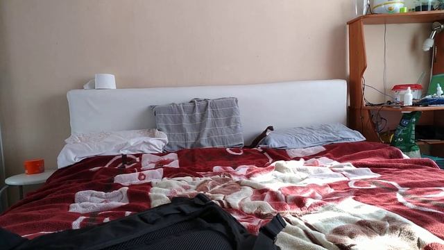 53.1 Лас и кроватные игры. Weasel and bed games. смотреть онлайн