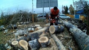 Работа бензопилы Хускварна 450