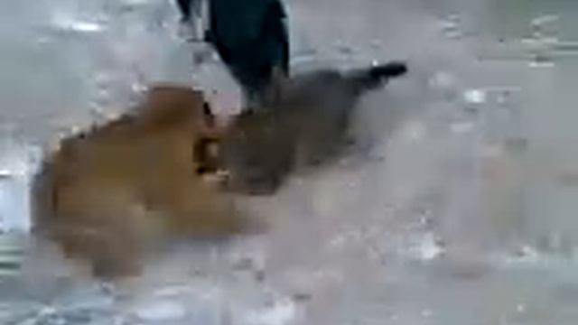 Смерть беззашитным смотреть онлайн