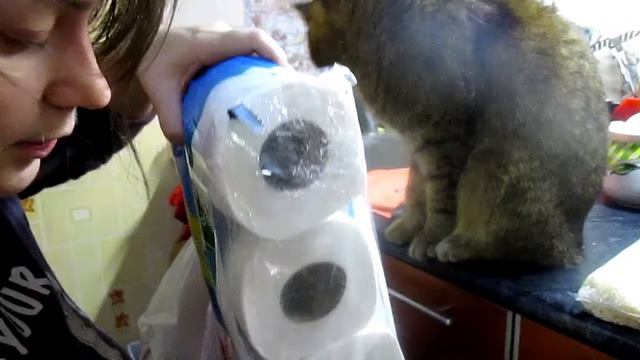 ЧТО МЫ КУПИЛИ/ОБЗОР ПОКУПОК/ЛЮБОПЫТНЫЙ КОТ