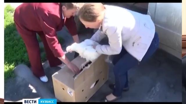 Карта неиспользуемых земель смотреть онлайн