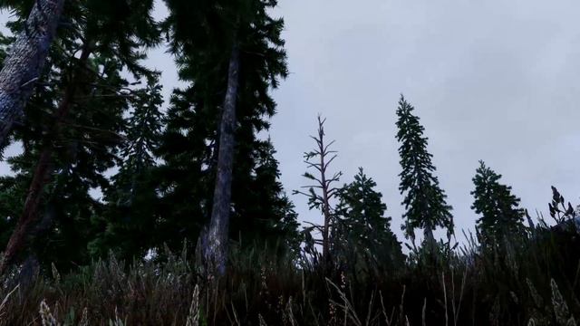 SkyrimSE with IntriguedENB and Obsidian Weathers смотреть онлайн