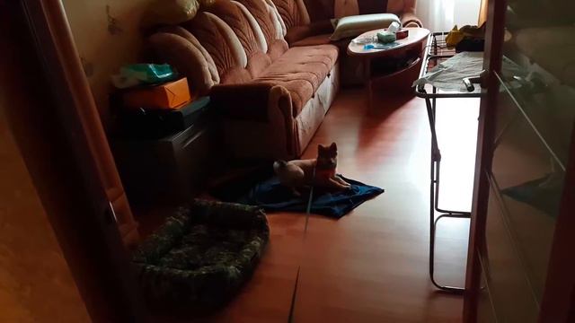 Не хочет идти в 7 утра смотреть онлайн