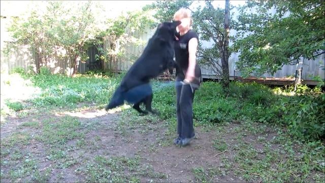 Флэт Линда. Утренняя зарядка. смотреть онлайн