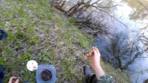 Рыбалка на СОМА. Ловля СОМА на ЛИЧИНКУ ЖУКА и ЧЕРВЯ.