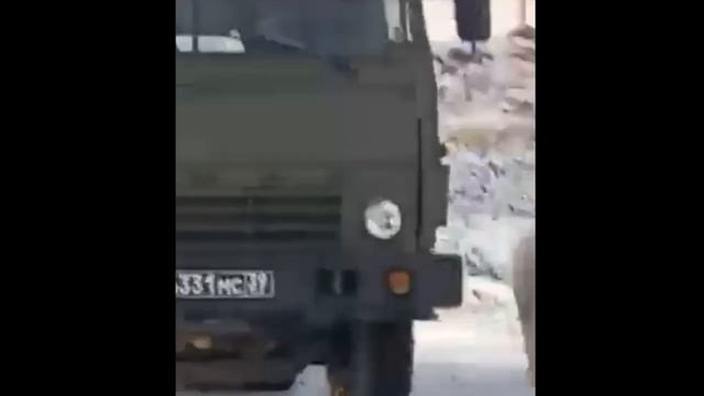 Диксон - голодные медведи-краснокнижники смотреть онлайн