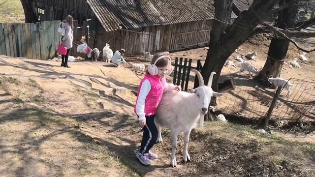Лучший контактный зоопарк в Минске смотреть онлайн
