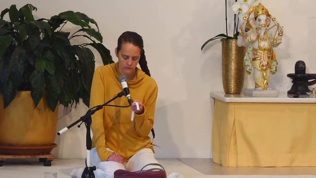 Pranayama Wechselatmung mit Chitra – Live Yoga Atemübungen Kapalabhati 06:00 Uhr 18.06.2020 смотреть онлайн